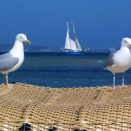 Anker Apartment Laboe