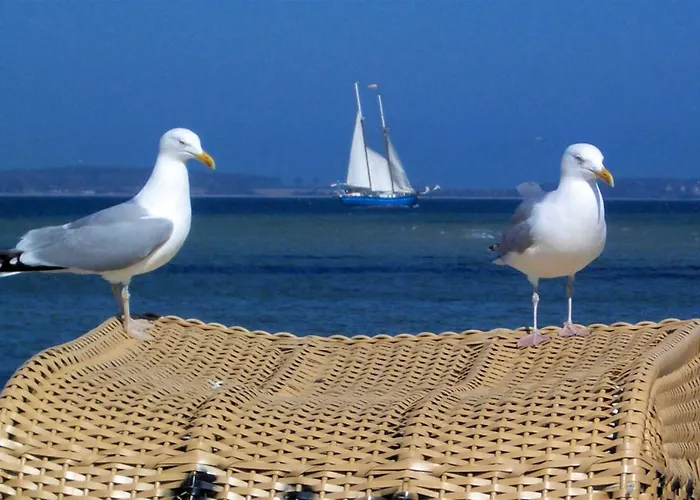 Anker Apartamento Laboe